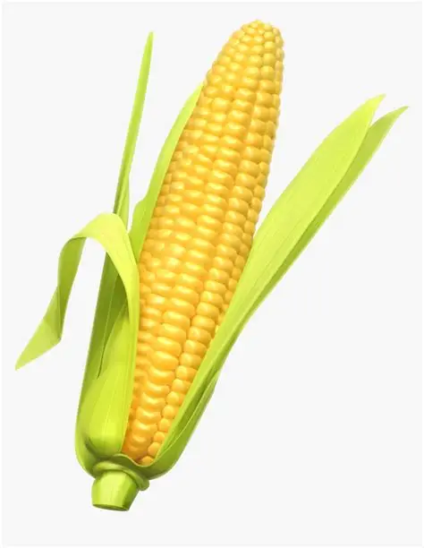 Corn