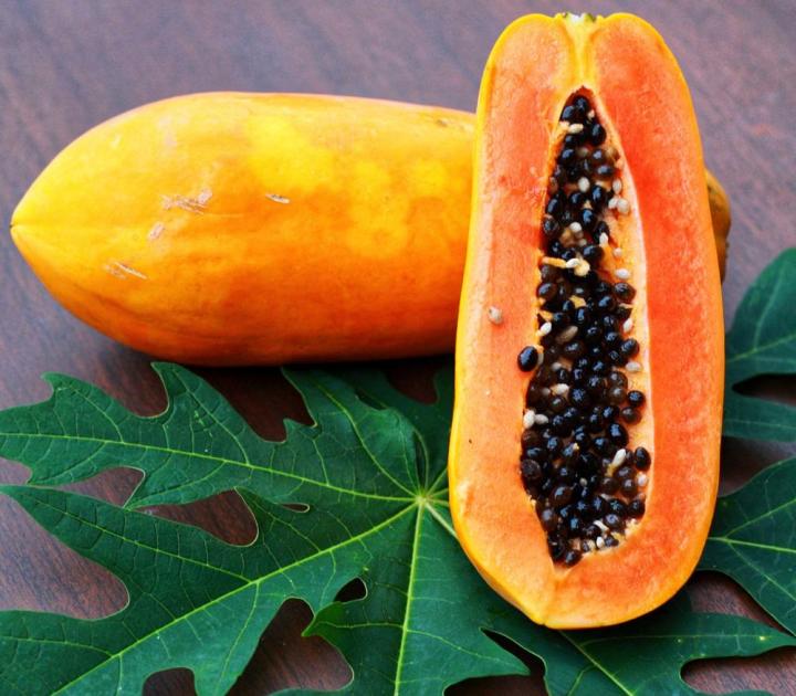 Papaya